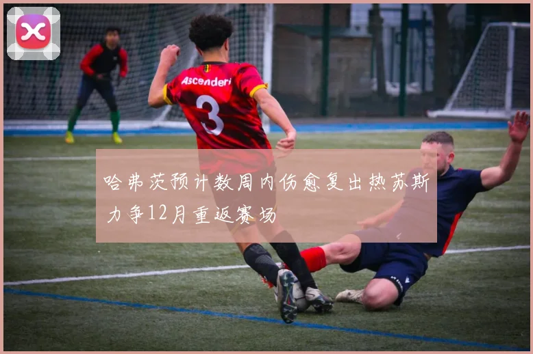 哈弗茨预计数周内伤愈复出热苏斯力争12月重返赛场
