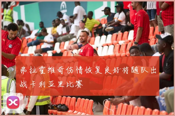 弗拉霍维奇伤情恢复良好将随队出战卡利亚里比赛