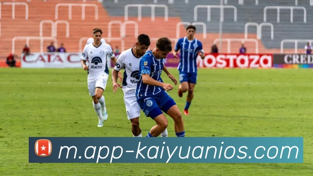 开元体育平台生态图